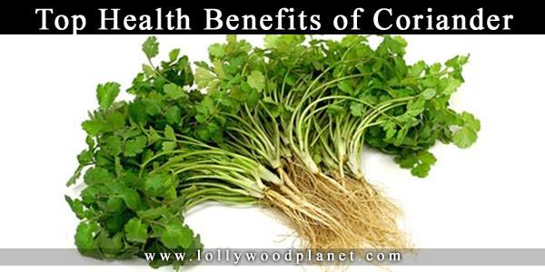 Health Benefits Of Coriander Seeds And Leaves